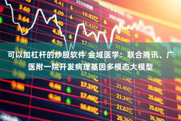 可以加杠杆的炒股软件 金域医学：联合腾讯、广医附一院开发病理基因多模态大模型