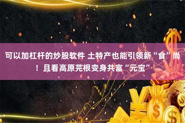 可以加杠杆的炒股软件 土特产也能引领新“食”尚！且看高原芫根变身共富“元宝”