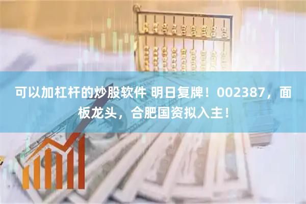 可以加杠杆的炒股软件 明日复牌！002387，面板龙头，合肥国资拟入主！