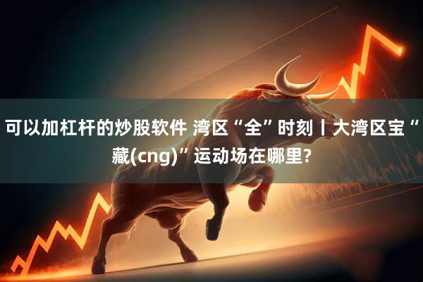 可以加杠杆的炒股软件 湾区“全”时刻丨大湾区宝“藏(cng)”运动场在哪里?