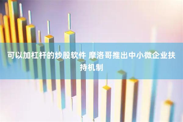 可以加杠杆的炒股软件 摩洛哥推出中小微企业扶持机制