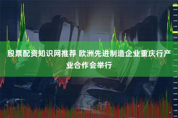 股票配资知识网推荐 欧洲先进制造企业重庆行产业合作会举行