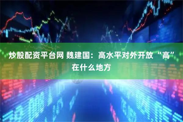 炒股配资平台网 魏建国：高水平对外开放 “高”在什么地方