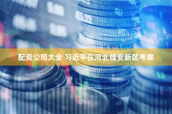配资公司大全 习近平在河北雄安新区考察